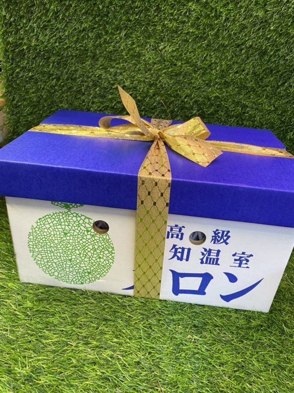 日本溫室哈蜜瓜 原裝2玉 (外箱依到貨隨機) 