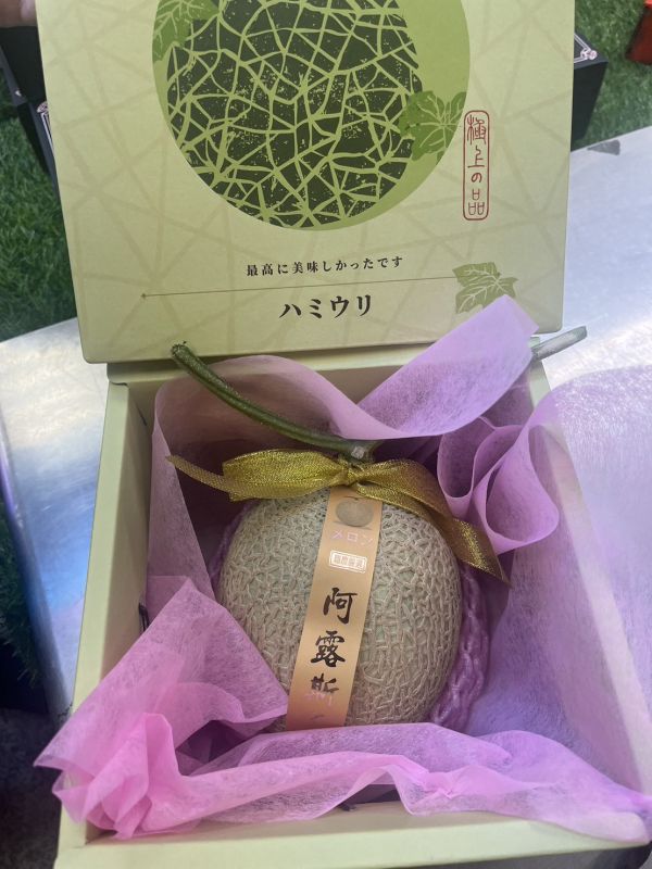 溫室阿露滋哈蜜瓜 