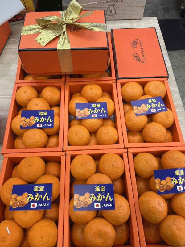 日本溫室蜜柑／愛瑪橘禮盒12-18玉／附提袋 