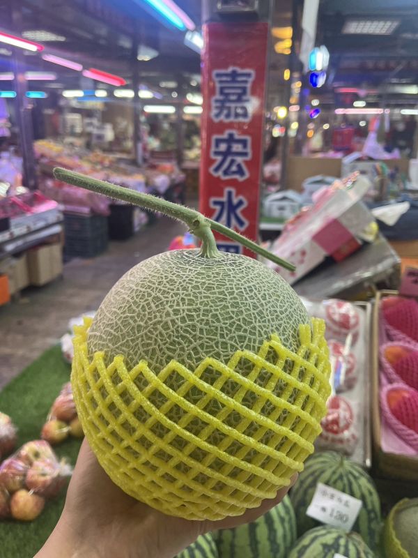 網紋哈蜜瓜 