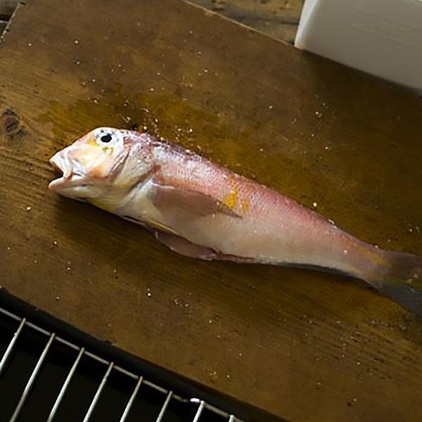 二去馬頭魚200/300G 方頭魚 紅馬頭 馬頭魚 赤甘鯛  紅甘鯛 赤鯮 冷凍食材 餐廳 盤商 團購 專業代工 包裝 盛食堂超市 新北市永和區復興街81號 (02)89219626盛佳貿易 統編90200774 群竑流通行銷 統編52941685