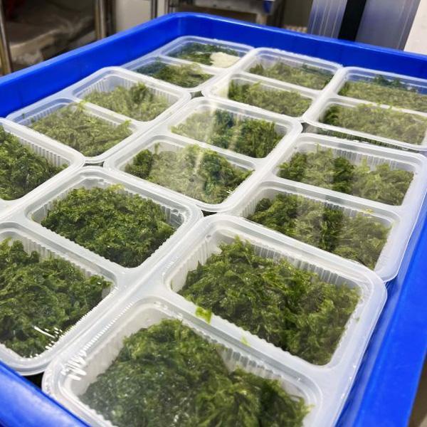 澎湖野生海菜200G 澎湖海菜 野生海菜 海女 手工 潮間帶 澎湖野生 不加水 空運 黑貓 宅急便 冷凍食材 餐廳 盤商 團購 專業代工 包裝 RichMarket 盛食堂超市 新北市永和區復興街81號 (02)89219626盛佳貿易 統編90200774群竑流通行銷 統編52941685