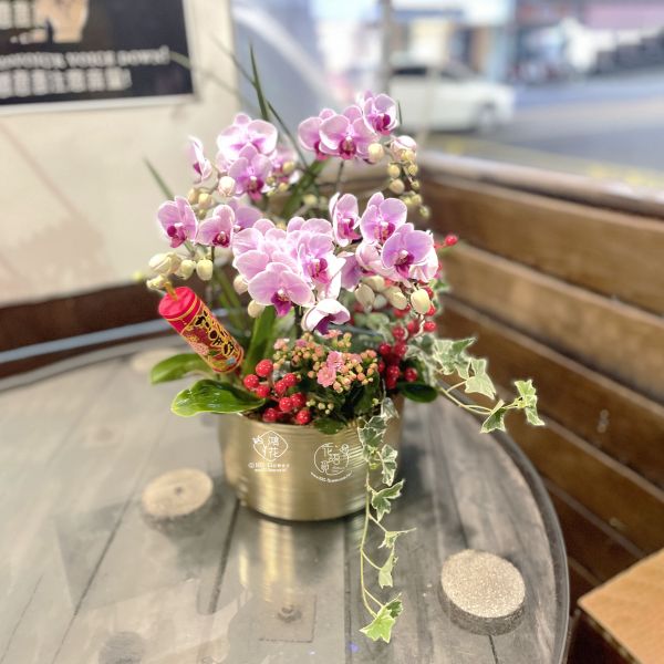 新春蘭花盆栽 (粉色桌上型金盆) 想讓家裡有濃厚的過年氣氛嗎?農曆春節過年喜慶花禮蘭花花禮/喜氣盆花/梅蘭竹菊
富貴菊/牡丹菊報歲花喜慶蝴蝶蘭東亞蘭喜慶盆花 鴻花花店 代客送花 花語覓花坊