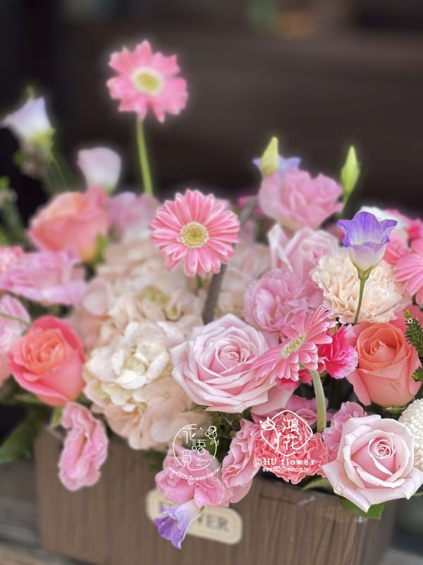 賀禮盆花~賀禮盆花  清新風盆花 台中鴻花花店代客送花-會議盆花,接待桌花,婚禮簽到桌花,賀禮盆花,開店賀禮盆花,會場氛圍提升,開店儀式感盆花,藝術盆花,代客送花,全程保密,珍惜所託
