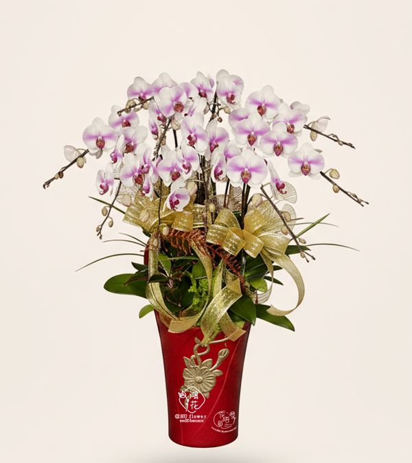 賀禮紅蝴蝶蘭花10顆(株)"高盆" /桌上點我看更多 工商賀禮~開店喬遷誌慶蝴蝶蘭盆栽.紅色蝴蝶蘭!黃色蝴蝶蘭,粉色蝴蝶蘭,白色蝴蝶蘭都是你最佳的選擇鴻花花店
代客送花,全程保密.台中花店網路花店實體花店