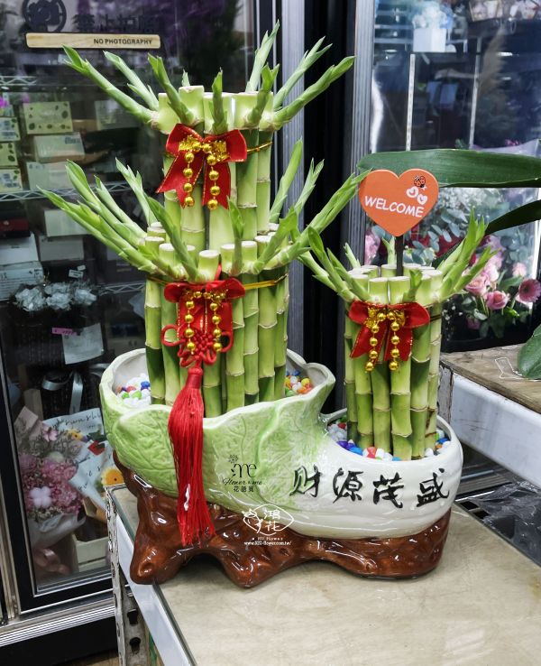 特殊造型開運竹(財源茂盛) 台中鴻花花店代客送花-開幕盆栽,開運竹盆栽大方有面子,節節高升開運竹,招財貓開運竹,開店,陞官,風水樹.工商賀禮盆栽/好照顧盆栽/開幕賀禮盆栽-居家盆栽,台中代客送花,中彰投全省代客送花
