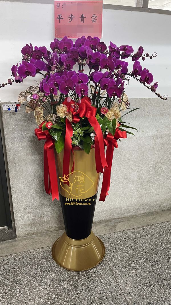 賀禮蘭花客製大型磁碟蘭盆栽(12株含以上) 工商賀禮~開店喬遷誌慶蝴蝶蘭盆栽.紅色蝴蝶蘭!黃色蝴蝶蘭,粉色蝴蝶蘭,白色蝴蝶蘭都是你最佳的選擇鴻花花店
代客送花,全程保密.台中花店網路花店實體花店