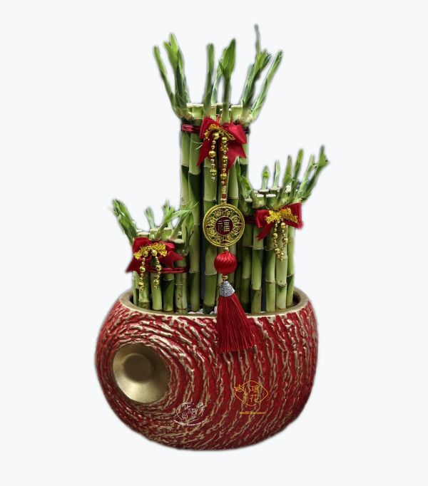 開運竹!紅盆3節 節節高升 台中鴻花花店代客送花-開幕盆栽,開運竹盆栽大方有面子,節節高升開運竹,招財貓開運竹,開店,陞官,風水樹.工商賀禮盆栽/好照顧盆栽/開幕賀禮盆栽-居家盆栽,台中代客送花,中彰投全省代客送花