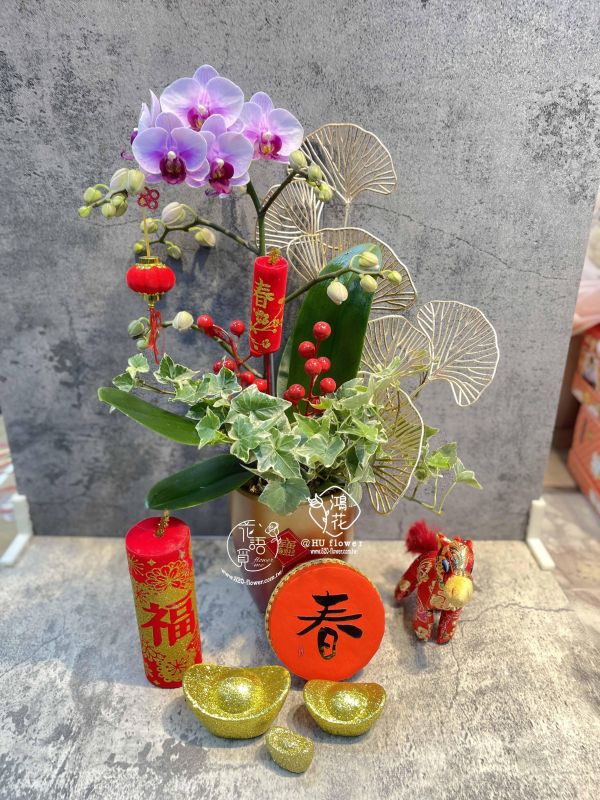 新春蘭花盆栽 小粉花(自取商品) 想讓家裡有濃厚的過年氣氛嗎?農曆春節過年喜慶花禮蘭花花禮/喜氣盆花/梅蘭竹菊
富貴菊/牡丹菊報歲花喜慶蝴蝶蘭東亞蘭喜慶盆花 鴻花花店 代客送花 花語覓花坊