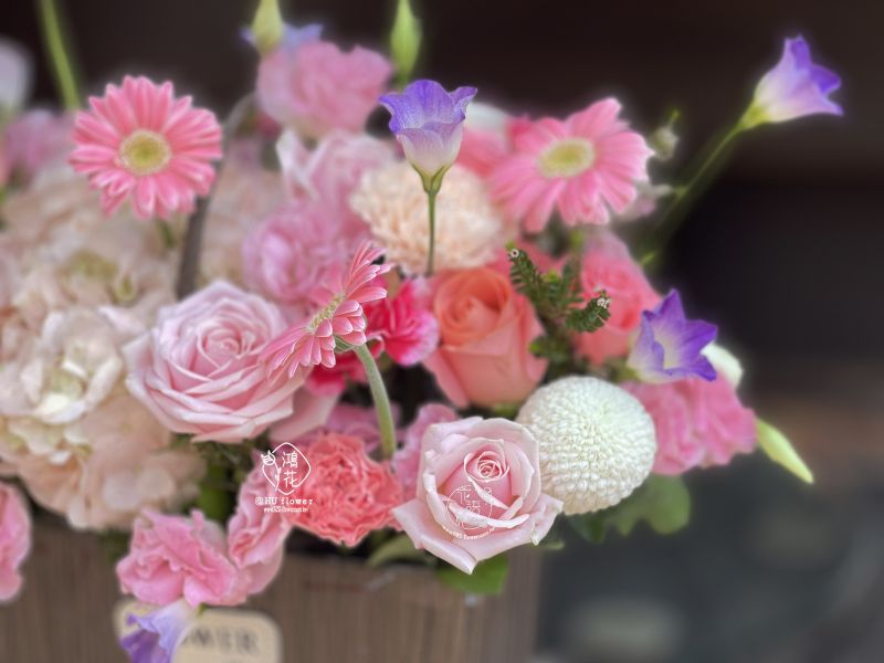 賀禮盆花~賀禮盆花  清新風盆花 台中鴻花花店代客送花-會議盆花,接待桌花,婚禮簽到桌花,賀禮盆花,開店賀禮盆花,會場氛圍提升,開店儀式感盆花,藝術盆花,代客送花,全程保密,珍惜所託