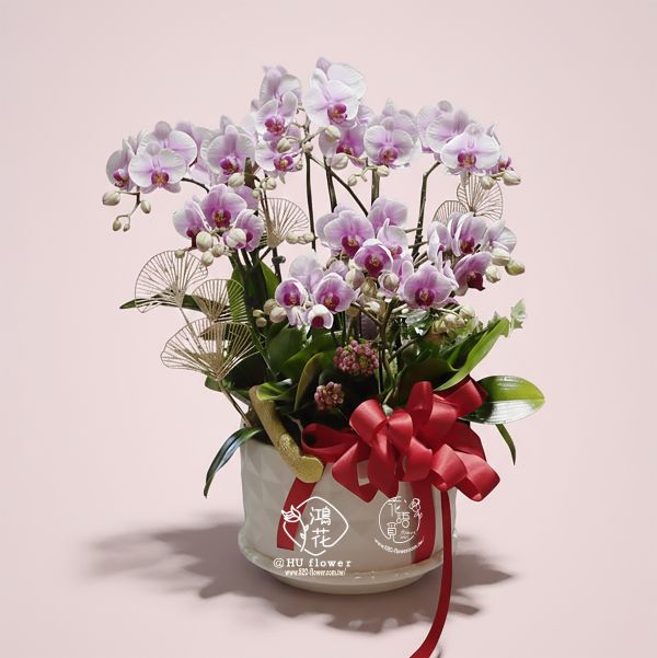 賀禮蘭花 桌上型(櫻花公主粉花) 工商賀禮~開店喬遷誌慶蝴蝶蘭盆栽.紅色蝴蝶蘭!黃色蝴蝶蘭,粉色蝴蝶蘭,白色蝴蝶蘭都是你最佳的選擇鴻花花店
代客送花,全程保密.台中花店網路花店實體花店