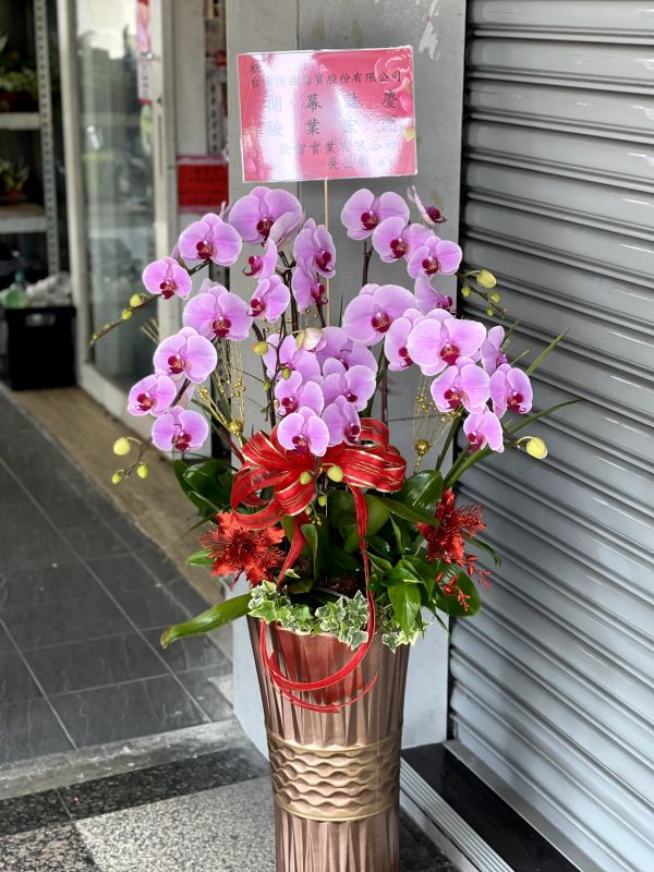 賀禮紅蝴蝶蘭花6(株)"高盆" 點我看更多 工商賀禮~開店喬遷誌慶蝴蝶蘭盆栽.紅色蝴蝶蘭!黃色蝴蝶蘭,粉色蝴蝶蘭,白色蝴蝶蘭都是你最佳的選擇鴻花花店
代客送花,全程保密.台中花店網路花店實體花店