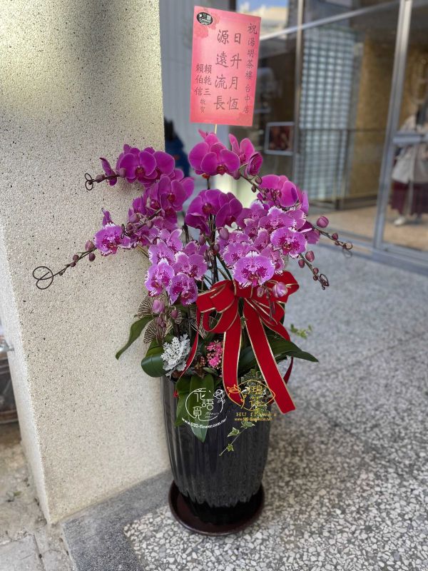 賀禮紅蝴蝶蘭花10顆(株)"高盆" /桌上點我看更多 工商賀禮~開店喬遷誌慶蝴蝶蘭盆栽.紅色蝴蝶蘭!黃色蝴蝶蘭,粉色蝴蝶蘭,白色蝴蝶蘭都是你最佳的選擇鴻花花店
代客送花,全程保密.台中花店網路花店實體花店