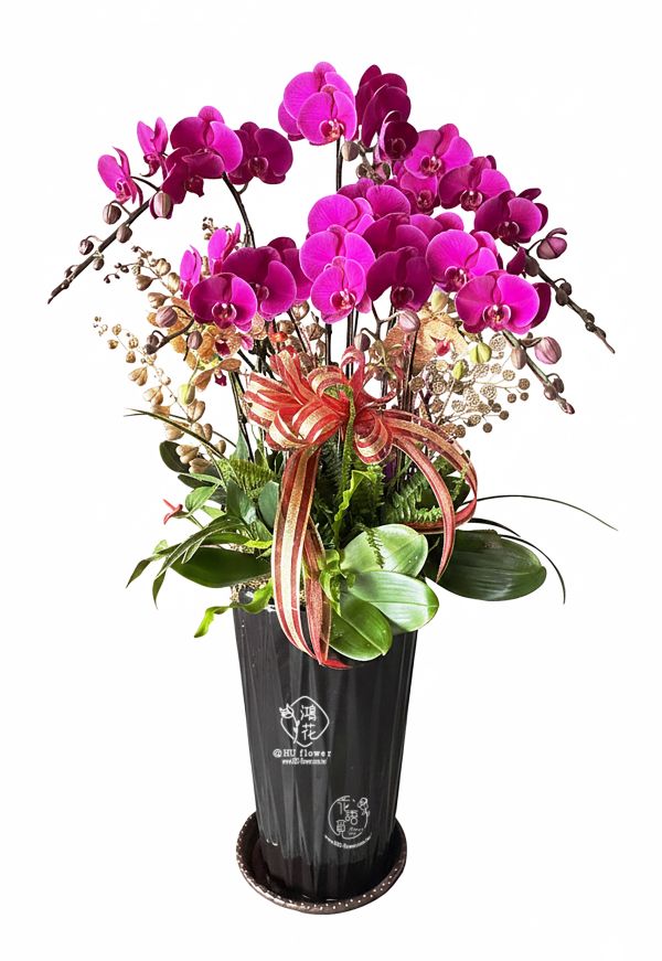 賀禮紅蝴蝶蘭花6(株)"高盆" 點我看更多 工商賀禮~開店喬遷誌慶蝴蝶蘭盆栽.紅色蝴蝶蘭!黃色蝴蝶蘭,粉色蝴蝶蘭,白色蝴蝶蘭都是你最佳的選擇鴻花花店
代客送花,全程保密.台中花店網路花店實體花店