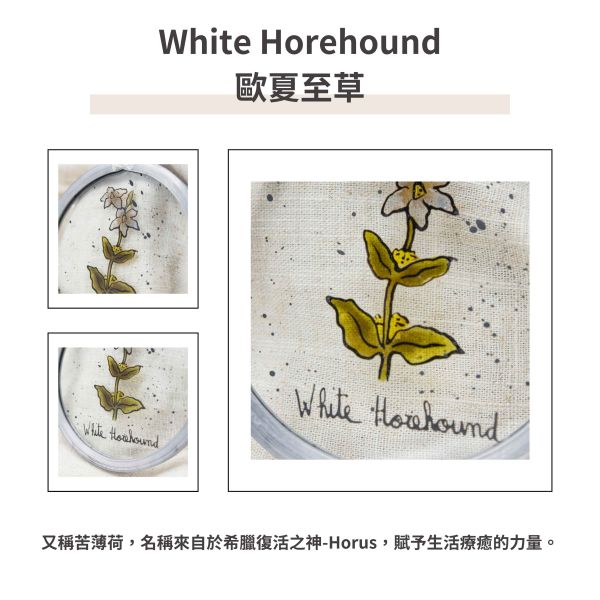 White Horehound歐夏至草 | 陽光捕手 捉光擺飾,居家裝飾,窗戶掛飾,捕夢者,花藝裝飾,陽光捕手,鑲嵌玻璃,情人節禮物,北歐風,花店