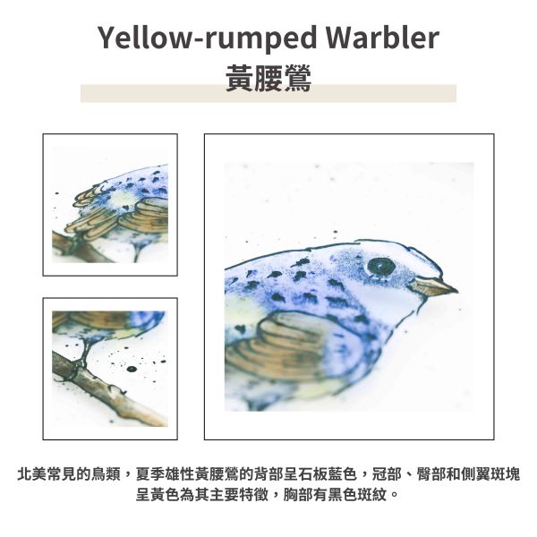 Yellow-rumped Warbler黃腰鶯 | 陽光捕手 捉光擺飾,居家裝飾,窗戶掛飾,捕夢者,花藝裝飾,陽光捕手,鑲嵌玻璃,情人節禮物,北歐風,花店