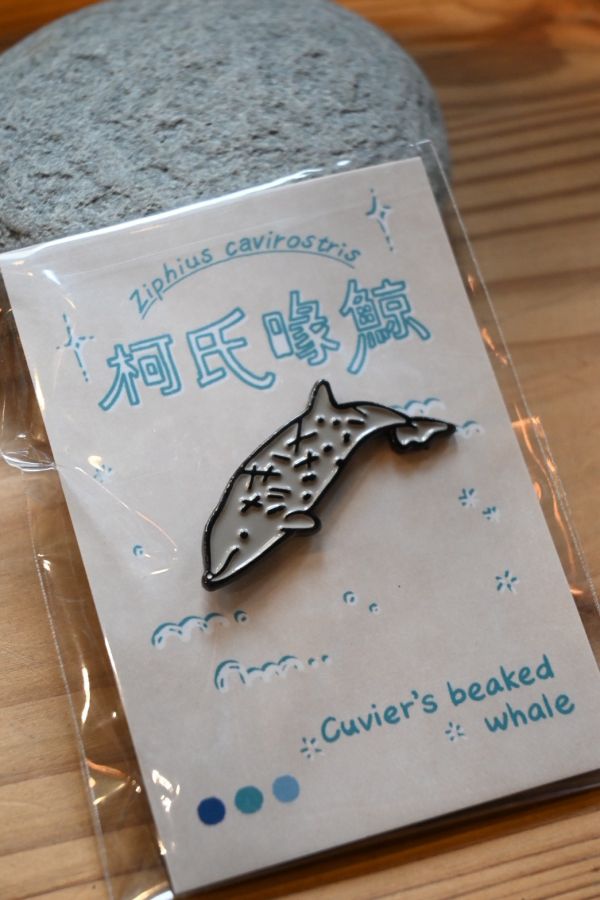 柯氏喙鯨_鯨豚造型金屬徽章 | 黑潮海洋基金會 