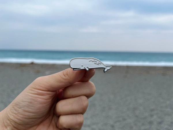 黑潮海洋文教基金會 