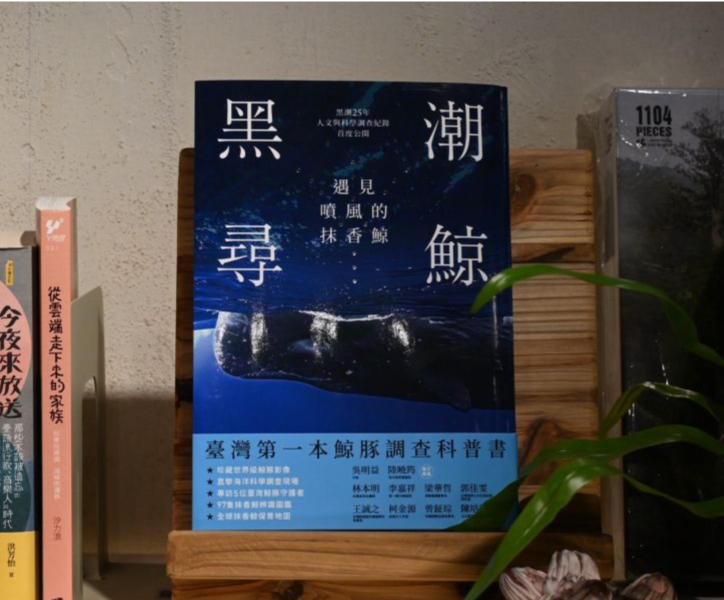 黑潮尋鯨：遇見噴風的抹香鯨 