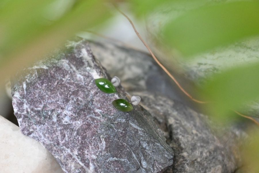 臺﻿灣玉耳釘(一對) 