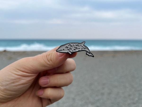 黑潮海洋文教基金會 