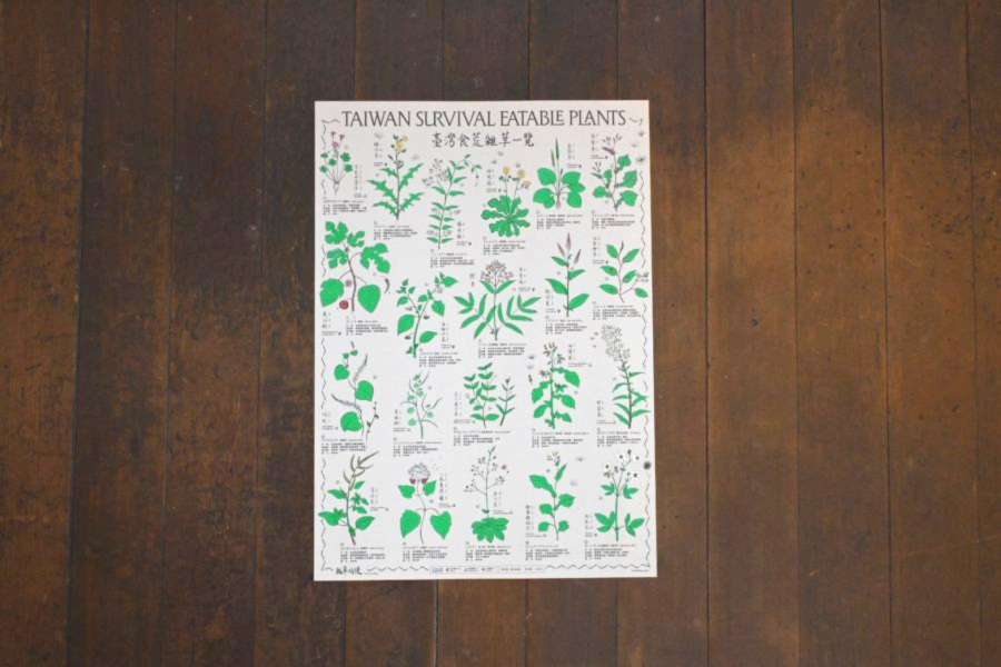 〈#臺灣食荒雜草一覽〉當代採集圖譜 Taiwan Survival Eatable Plants 