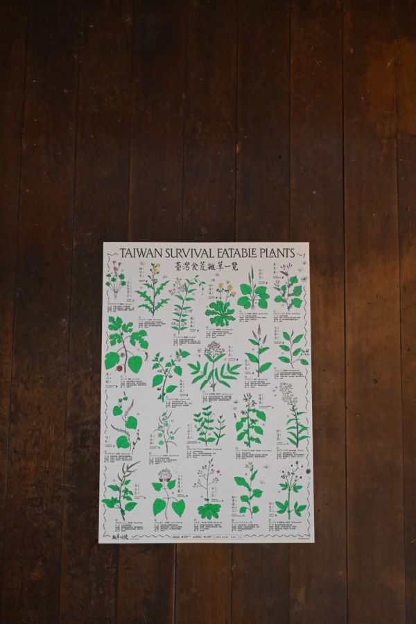 〈#臺灣食荒雜草一覽〉當代採集圖譜 Taiwan Survival Eatable Plants 