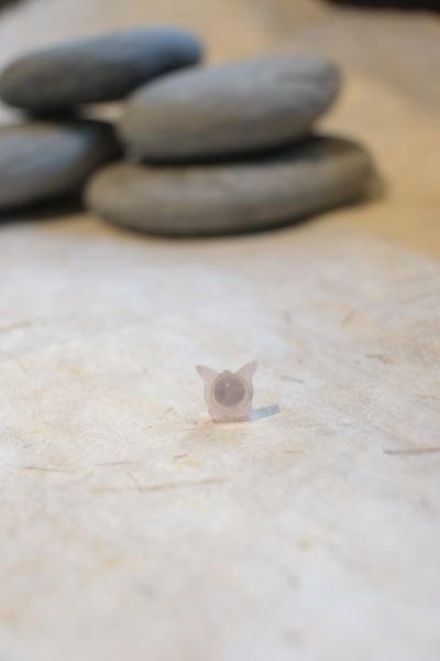 蝴蝶耳釘｜寶石拼圖 
