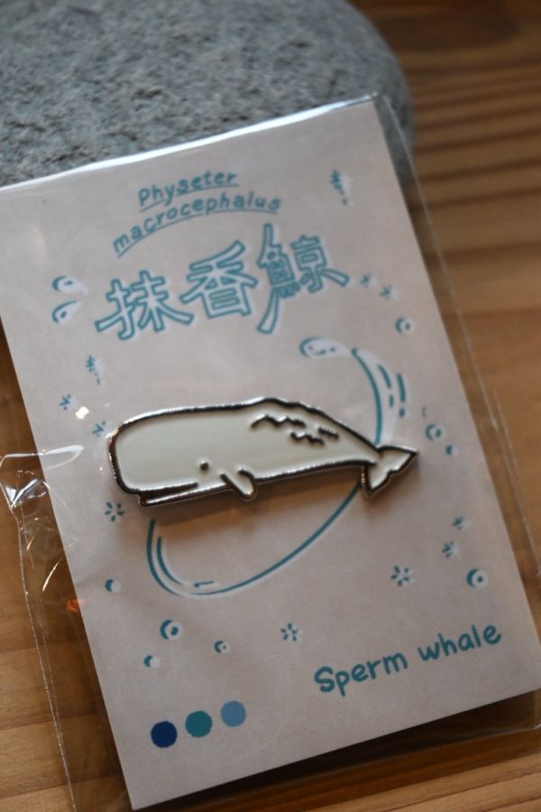 抹香鯨_鯨豚造型金屬徽章 | 黑潮海洋基金會 