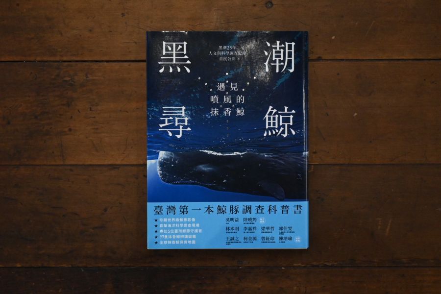 黑潮尋鯨：遇見噴風的抹香鯨 
