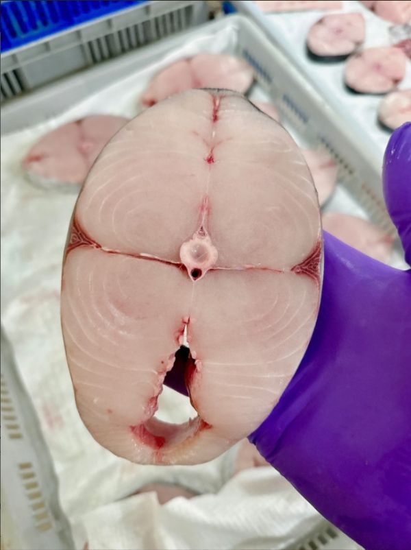 澎湖手釣白金土魠 (220g±10%/片) 澎湖白金土魠, 手釣土魠, 澎湖海鮮, 澎湖魚排, 白金土魠, 海の優, 冷凍土魠, 鮮嫩魚排, 海味料理, 高級海鮮