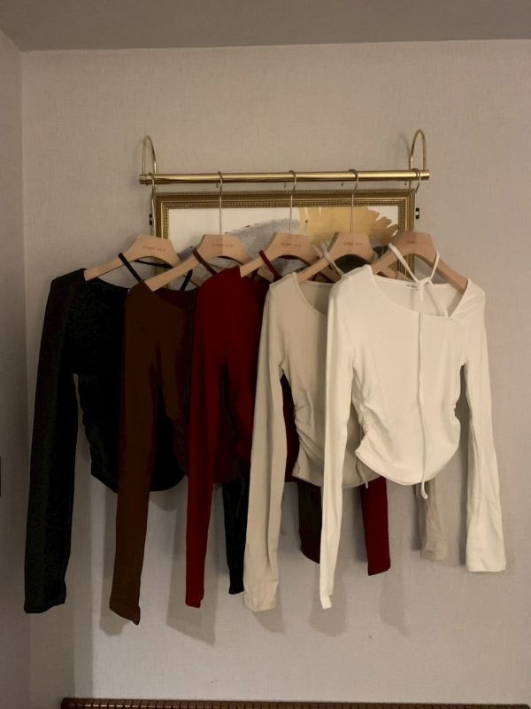 曲線女王 抓皺小心機長袖上衣 修身顯瘦版（5色） 