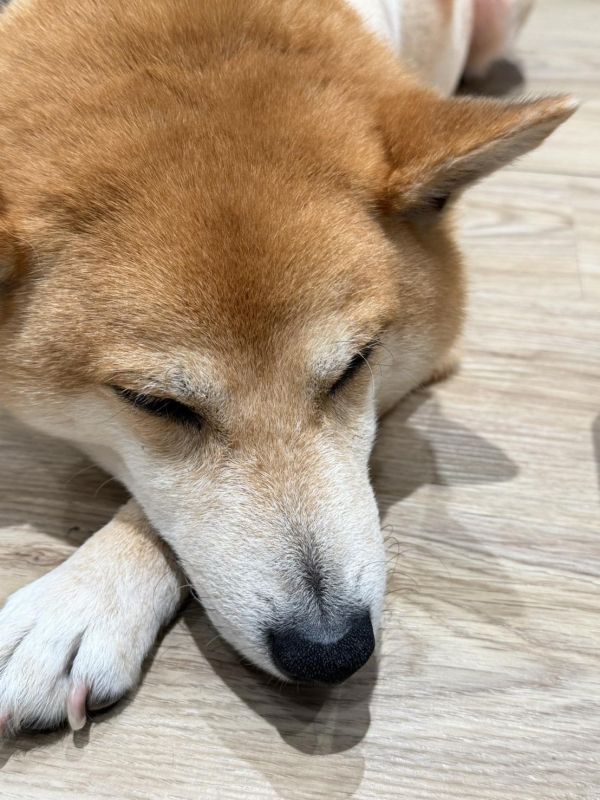 測試下單 
