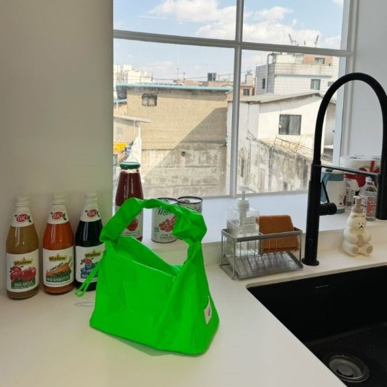 (綠色) 韓國 Diff Hobo Bag Signature green 流浪包霓虹 肩背包 托特包 Diff,韓國包包,單肩袋,Hobo包,韓星包包,流浪包,Made in Korea,韓國設計師包包品牌