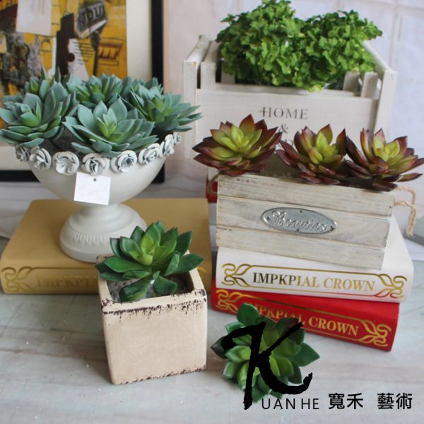 仿真花-多肉植物尖角雪蓮 綠 仿真花.人造花.永生花.假花