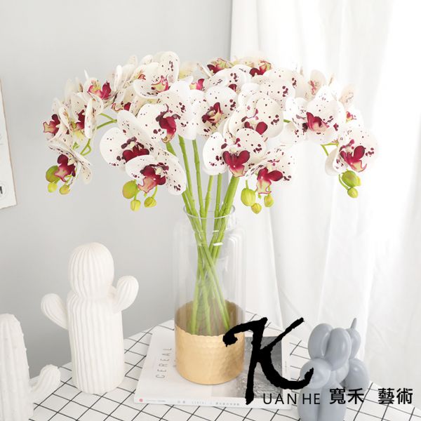 仿真花-3D蝴蝶蘭 斑點 仿真花.人造花.永生花.假花