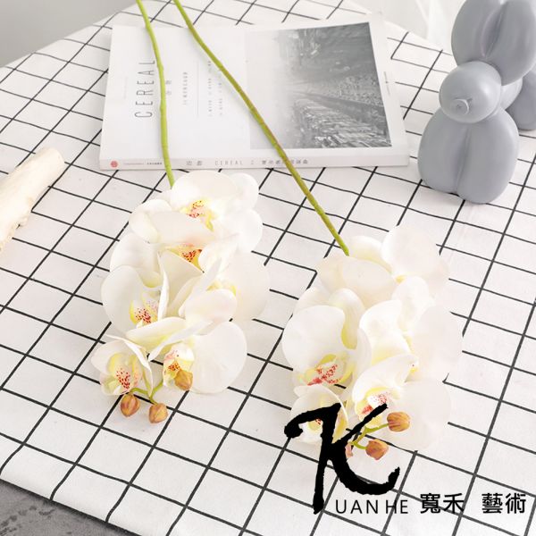 仿真花-3D蝴蝶蘭 白黃心色 仿真花.人造花.永生花.假花