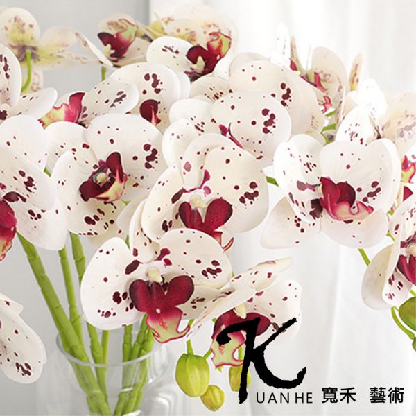 仿真花-3D蝴蝶蘭 斑點 仿真花.人造花.永生花.假花