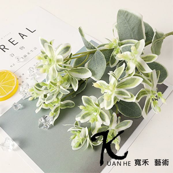 仿真花-銀邊翠葉 仿真花.人造花.永生花.假花
