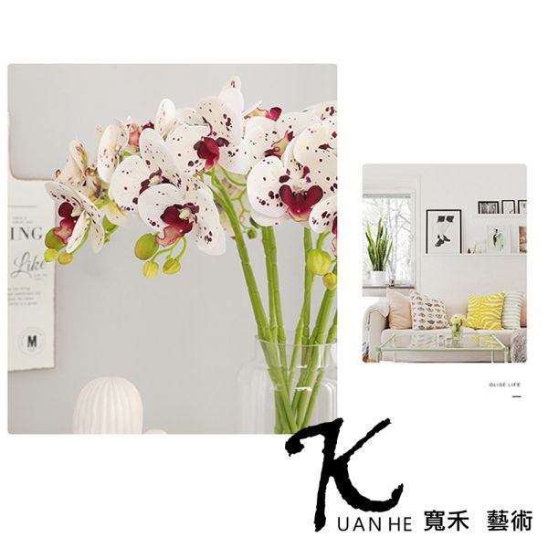 仿真花-3D蝴蝶蘭 斑點 仿真花.人造花.永生花.假花