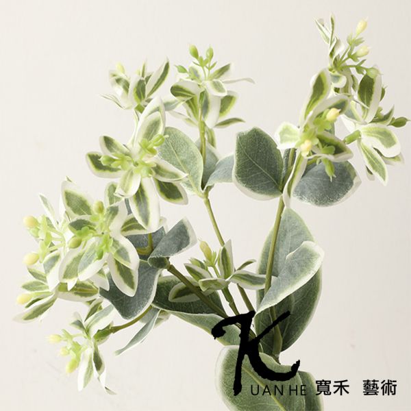 仿真花-銀邊翠葉 仿真花.人造花.永生花.假花