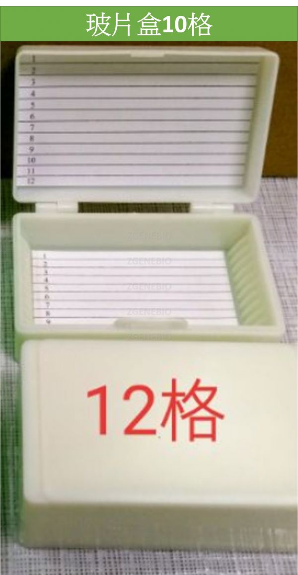 現貨 載玻片盒 切片盒  玻片盒 玻片保存盒 25/50/100片 100片鎖扣玻片盒 多種規格 (賣場另有小規格玻片盒) 載玻片盒 切片盒  玻片盒 玻片保存盒 25/50/100片 100片鎖扣玻片盒
