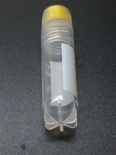 現貨 1.8ml 超低溫冷凍螺旋蓋離心管10個價  液態氮保存管 細胞保存管 耐高溫121度 ~超低溫 -196度 1.8ml 超低溫冷凍螺旋蓋離心管,液態氮保存管 ,細胞保存管 耐高溫121度 ~超低溫 -196度