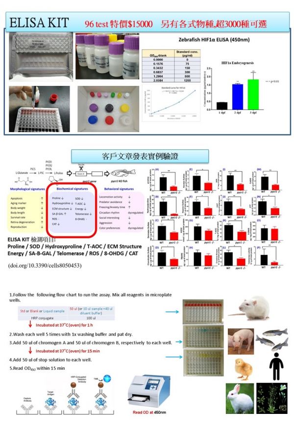 Mouse soluble cluster of differentiation 30,sCD30 Elisa Kit 小鼠可溶性CD30(sCD30)Elisa Kit Mouse soluble cluster of differentiation 30,sCD30 Elisa Kit,小鼠可溶性CD30(sCD30)Elisa Kit