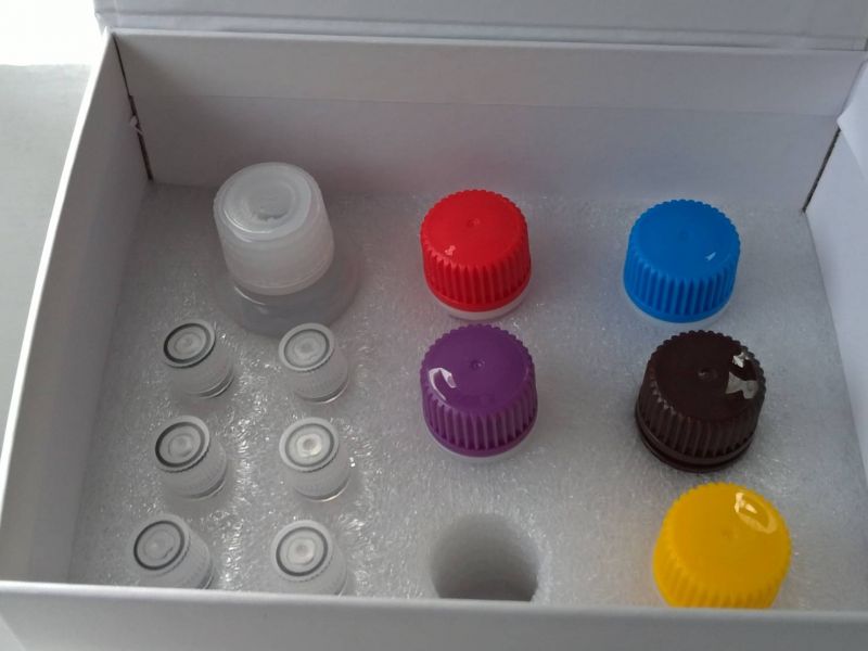 Fish NE (epinephrine) ELISA KIT Fish NE (epinephrine) ELISA KIT 斑馬魚正腎上腺素 ELISA KIT,免疫分析套組,酵素免疫吸附試驗法試劑組,ZEBRAFISH ELISA KIT