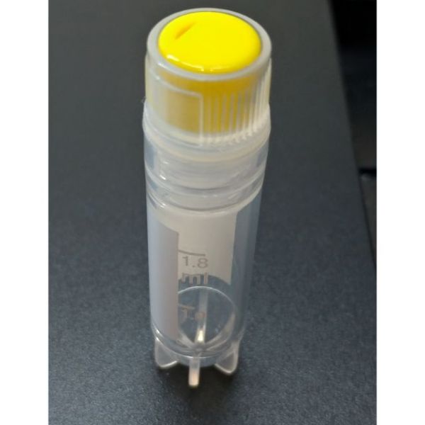 現貨 1.8ml 超低溫冷凍螺旋蓋離心管10個價  液態氮保存管 細胞保存管 耐高溫121度 ~超低溫 -196度 1.8ml 超低溫冷凍螺旋蓋離心管,液態氮保存管 ,細胞保存管 耐高溫121度 ~超低溫 -196度
