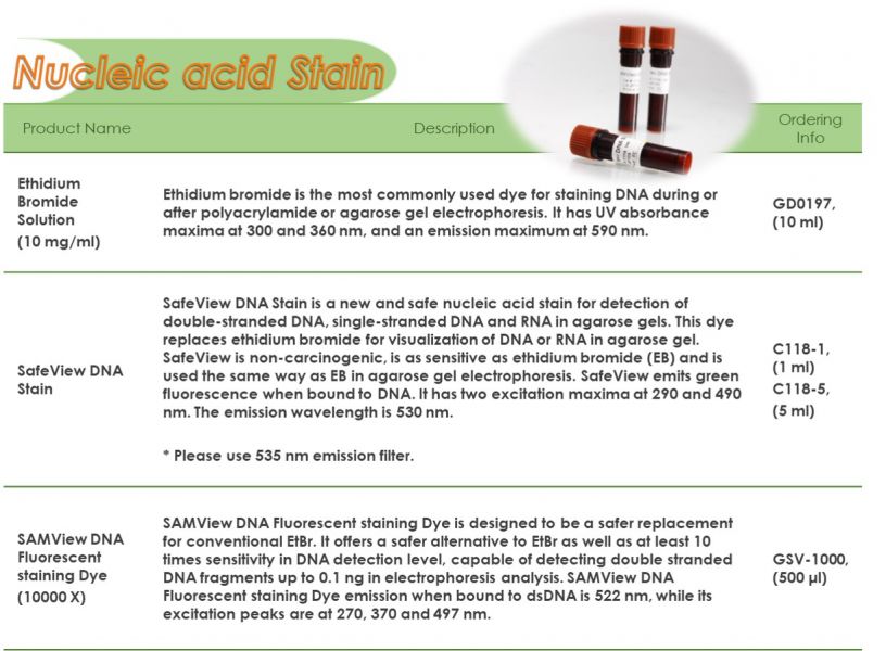 SafeView DNA stain DNA安全染劑 電泳染劑 取代EtBr染色 SafeView DNA stain,EtBr,電泳染劑