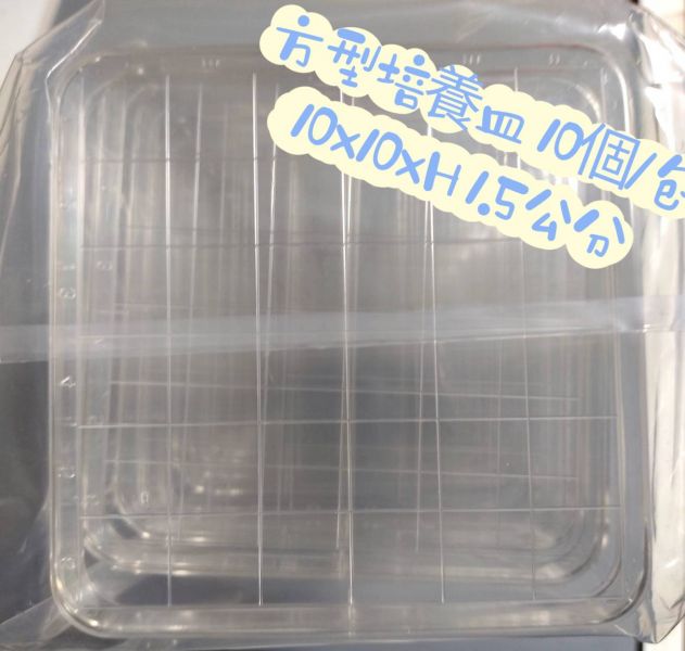 10cm方型培養皿 10公分方形培養皿 方型塑膠培養皿 取限購10條 10cm方型培養皿,10公分方形培養皿,方型塑膠培養皿