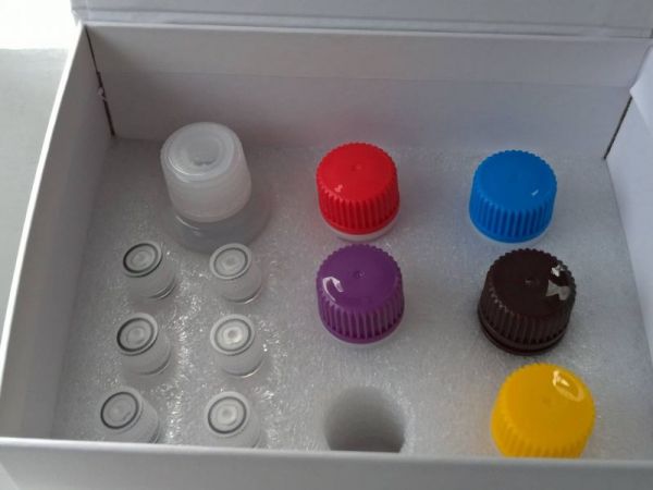 Porcine sodium-glucose cotransporter 1,SGLT1 ELISA Kit 豬鈉-葡萄糖共轉運載體1(SGLT1)ELISA Kit Porcine sodium-glucose cotransporter 1,SGLT1 ELISA Kit 豬鈉-葡萄糖共轉運載體1(SGLT1)ELISA KitELISA KIT,免疫分析套組,酵素免疫吸附試驗法試劑組