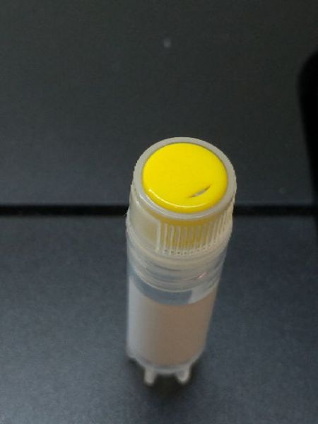 現貨 1.8ml 超低溫冷凍螺旋蓋離心管10個價  液態氮保存管 細胞保存管 耐高溫121度 ~超低溫 -196度 1.8ml 超低溫冷凍螺旋蓋離心管,液態氮保存管 ,細胞保存管 耐高溫121度 ~超低溫 -196度
